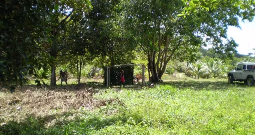 Chácara / sítio com 2 quartos à venda na Zona rural, Nilo Peçanha 