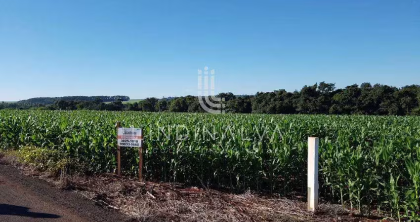 Área na av. felipe wandscheer com 10.649 m2 - com mata e riacho - 15 min do centro.