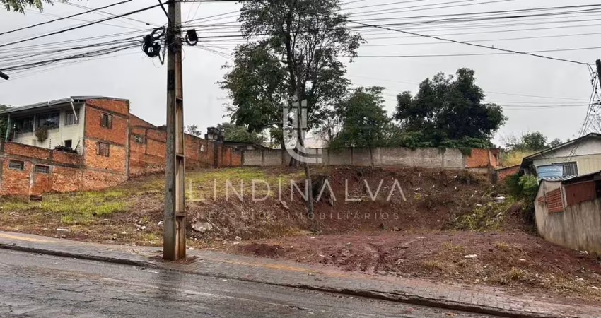 Terreno à venda no centro de foz do iguaçu - excelente oportunidade