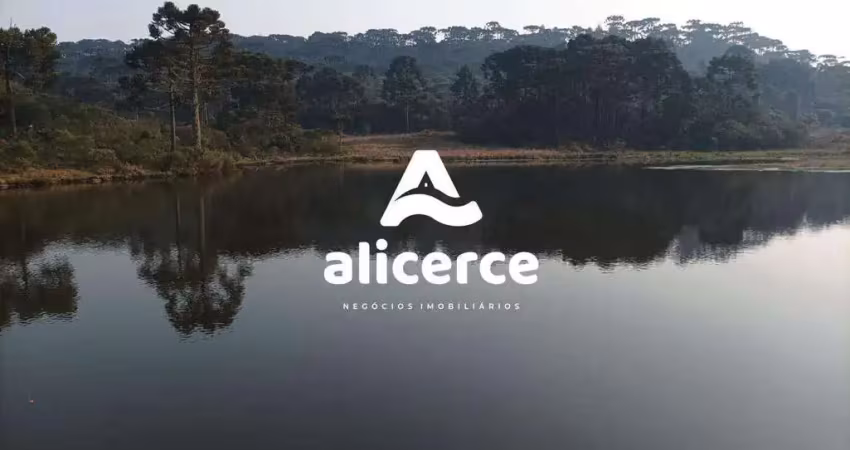Oportunidade única – fazenda produtiva à venda em são joaquim/sc | exclusividade imobiliária alicerce ideal para cultivo, pecuária e investimentos com