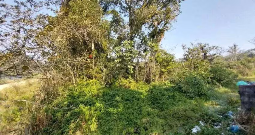Terreno para venda possui 7000 metros quadrados em rio preto - itanhaém - sp