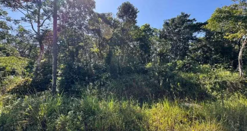 Terreno para venda possui 1825 metros quadrados em são fernando - itanhaém - sp