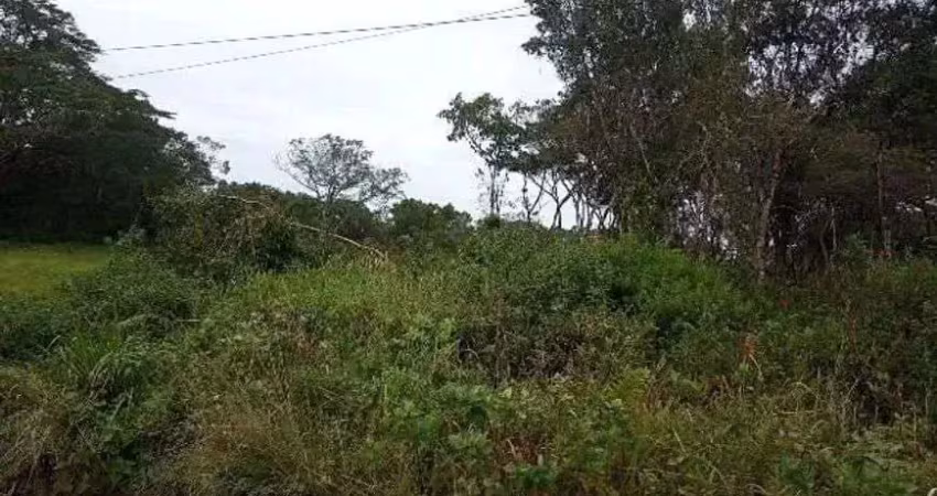 Terreno para venda possui 1200 metros quadrados em bopiranga - itanhaém - sp