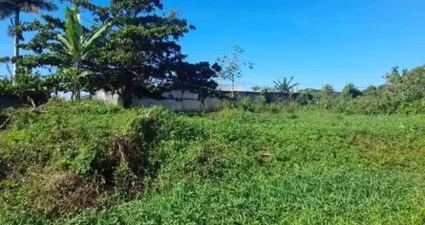 Terreno para venda com 300 metros quadrados em estancia antonio novaes - peruíbe - sp
