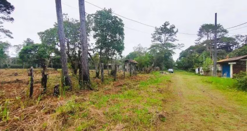 Terreno para venda tem 1250 metros quadrados em sitio velho - itanhaém - sp