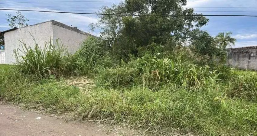 Terreno para venda tem 286 metros quadrados em luíza mar mirim - itanhaém - sp
