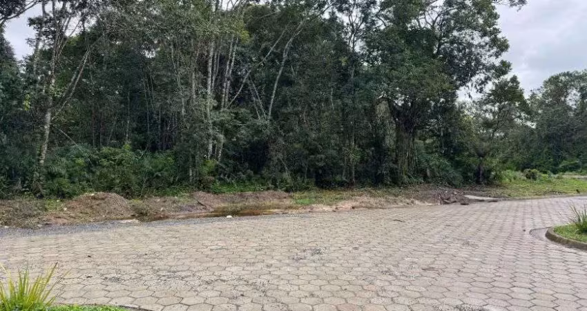 Terreno para venda possui 280 metros quadrados em verde mar - itanhaém - sp
