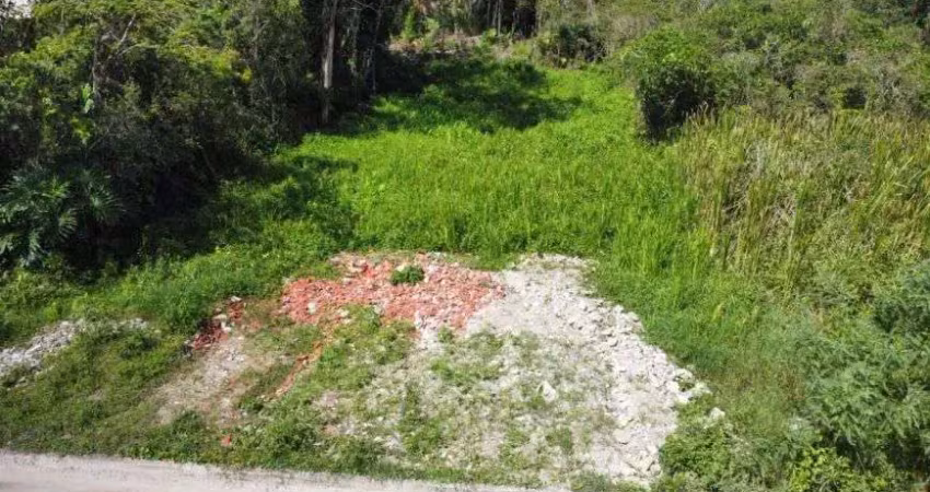 Terreno para venda com 384 metros quadrados em jardim fênix - itanhaém - sp