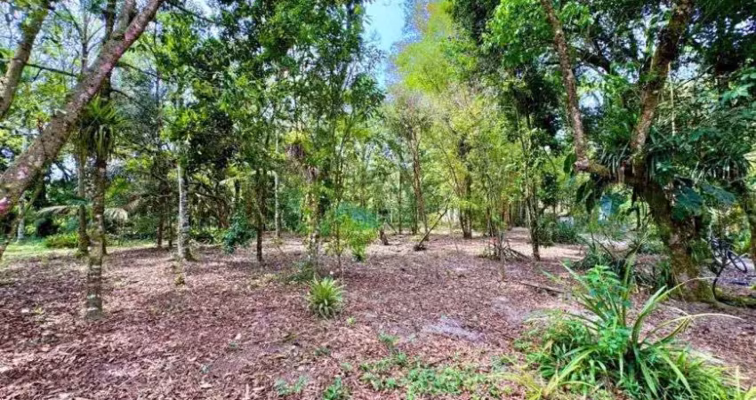 Terreno para venda tem 6639 metros quadrados em zona rural - itanhaém - sp