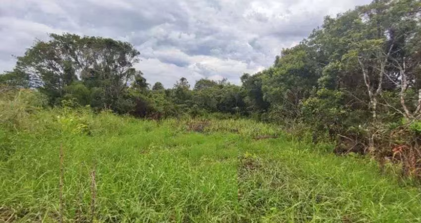Terreno para venda possui 312 metros quadrados em luíza mar mirim - itanhaém - sp