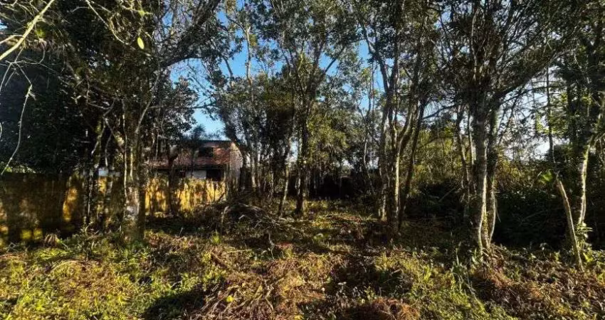 Terreno para venda tem 312 metros quadrados em balneário gaivota - itanhaém - sp
