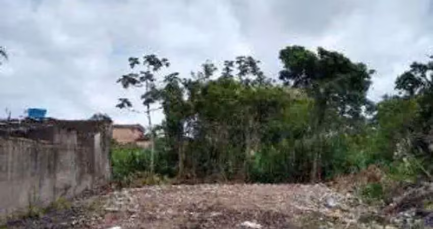 Terreno no bairro jardim das palmeiras á 700 metros da rodovia em itanhaem