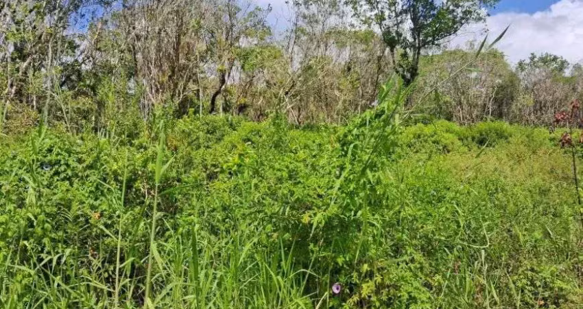 Terreno para venda possui 241 metros quadrados em são fernando - itanhaém - sp