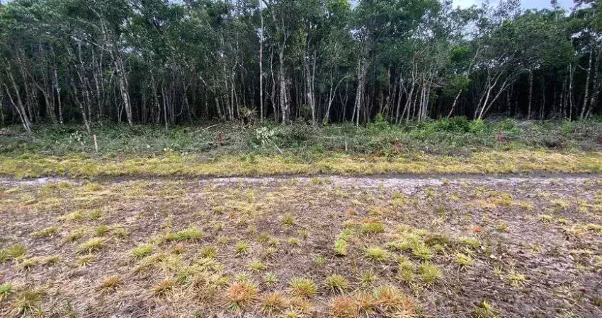 Lotes super baratos no bairro jardim anchieta á 3.000 metros da rodovia !