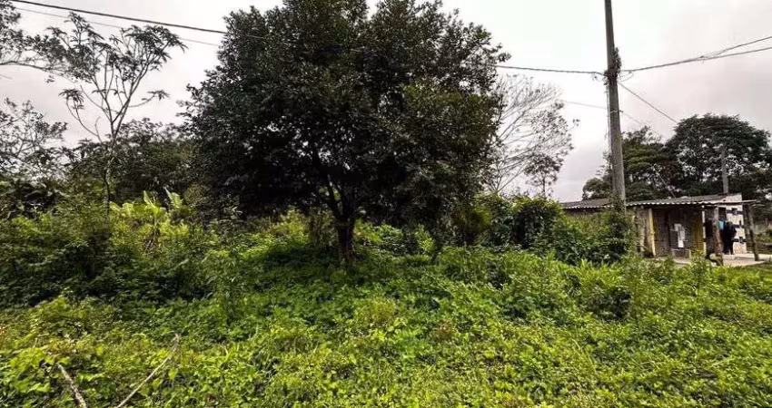 Terreno para venda com 292 metros quadrados em jardim coronel - itanhaém - sp