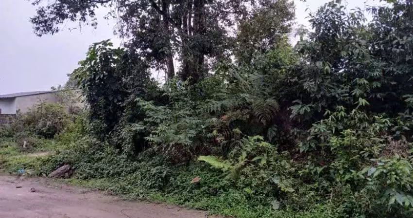 Terreno para venda possui 250 metros quadrados em jardim coronel - itanhaém - sp