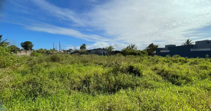 Terreno para venda no bairro vila erminda, localizado na cidade de peruíbe / sp