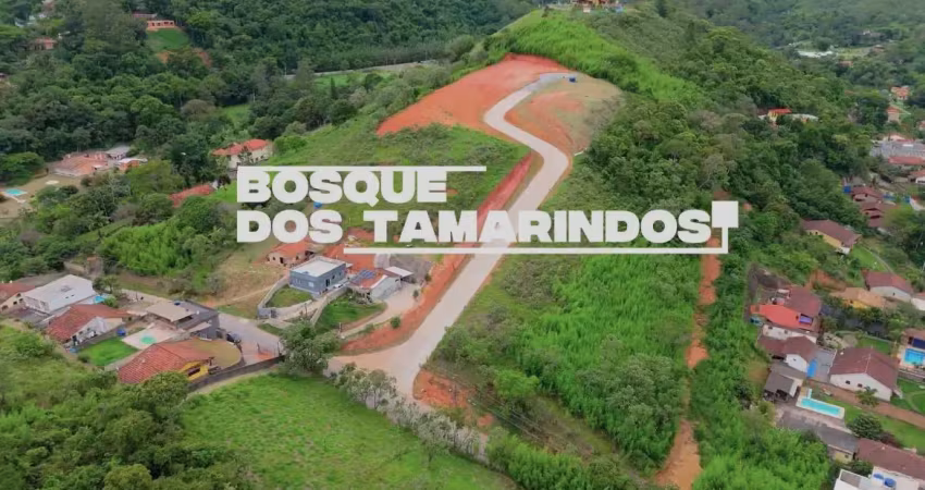 Terreno a venda em barão de javary, miguel pereira, com linda vista e ótima topografia