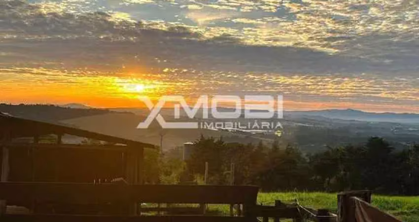 Chácara / sítio com 5 quartos à venda na alameda das auracarias, 10, Rio Abaixo, Jarinu