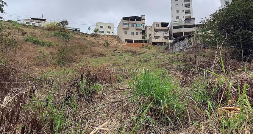 Lote / Terreno - São Pedro