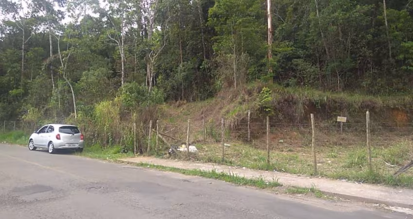 Lote / Terreno - São Pedro