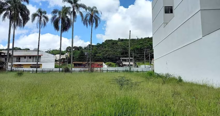 Lote / Terreno - São Pedro