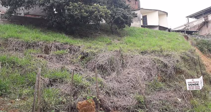 Lote / Terreno - São Pedro