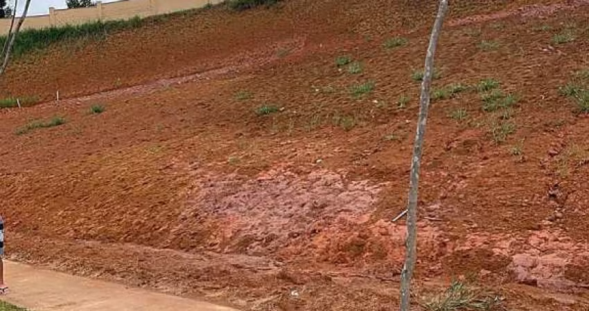 Lote / Terreno - Salvaterra