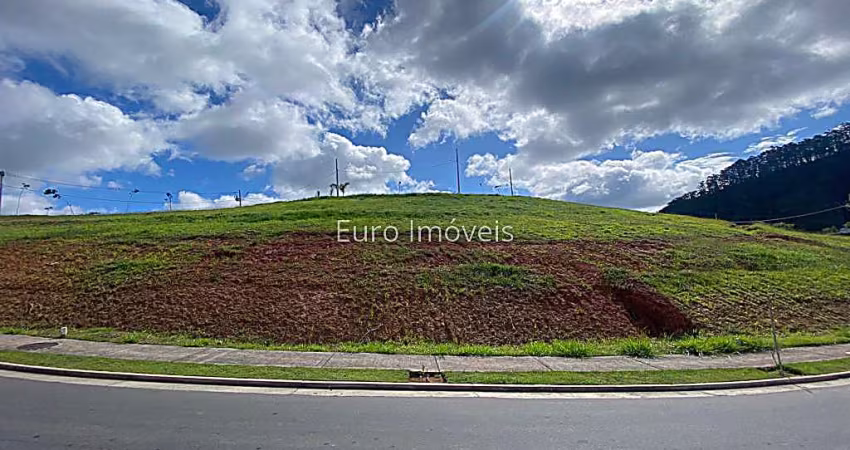 Estrela Alta