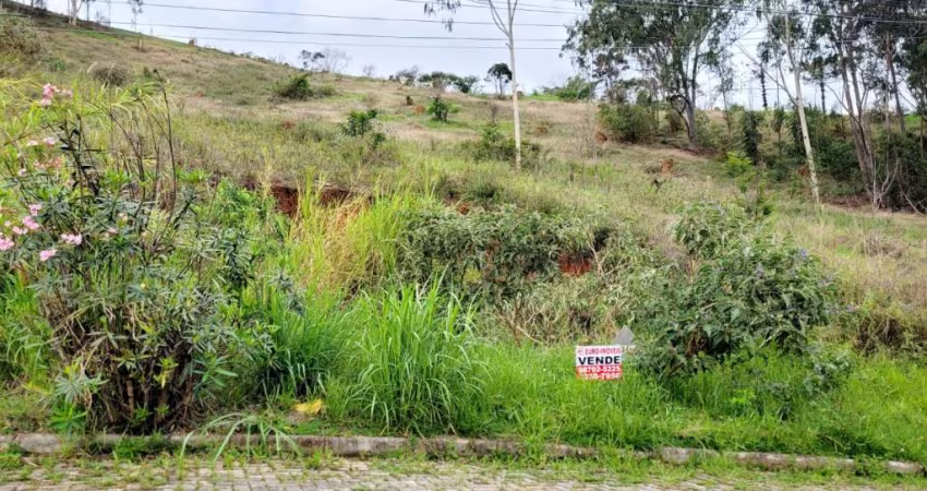 Lote / Terreno - Lourdes