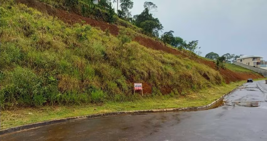 Lote / Terreno - Novo Horizonte