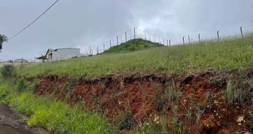Lote / Terreno - São Pedro