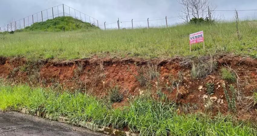 Lote / Terreno - São Pedro