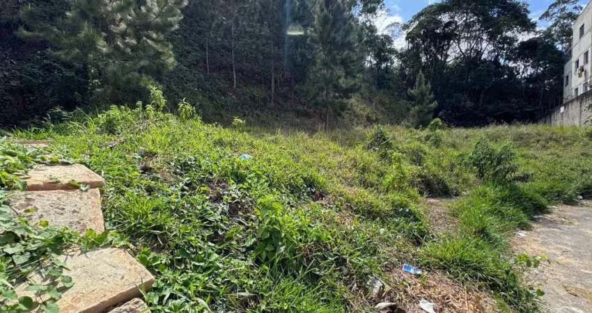 Lote / Terreno - São Pedro