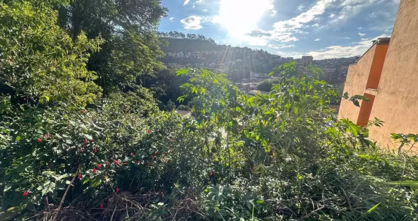 Terreno com 250m², bairro borboleta, juiz de fora, mg.