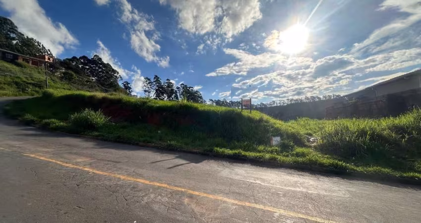 Terreno com 250 m², bairro Borboleta, Juiz de Fora, MG.