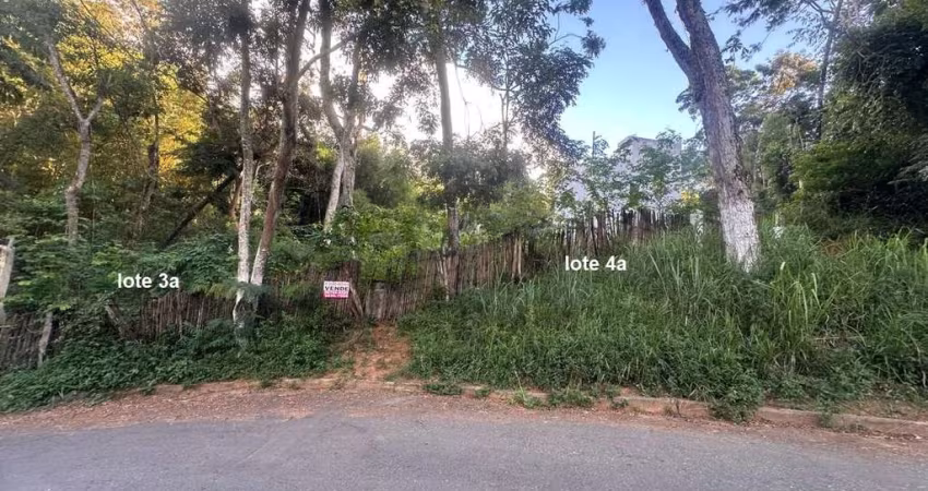 Terreno com 300m², bairro Borboleta, Juiz de Fora, MG.