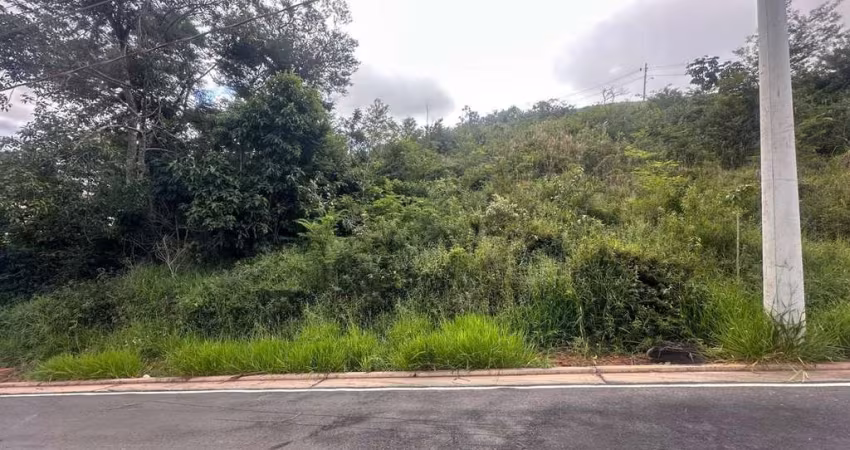 Reserva Salvaterra