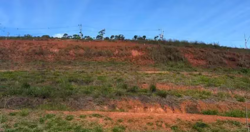 Terreno à venda no Vina Del Mar, Juiz de Fora 