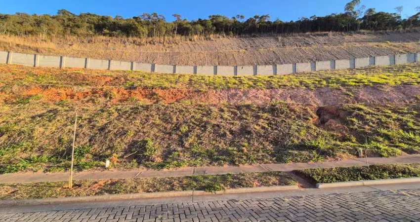 Terreno em condomínio fechado à venda no Vina Del Mar, Juiz de Fora 