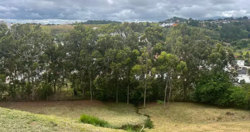 Terreno em condomínio fechado à venda no Vina Del Mar, Juiz de Fora 