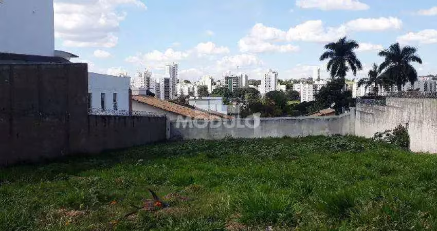 Terreno comercial para alugar na Avenida Uirapuru, --, Cidade Jardim, Uberlândia