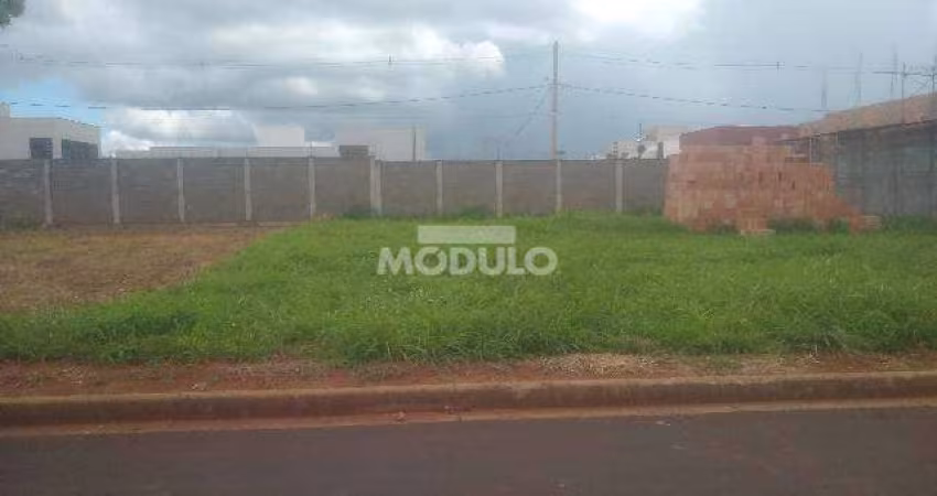 Àrea Comercial para alugar no Bairro Novo Mundo