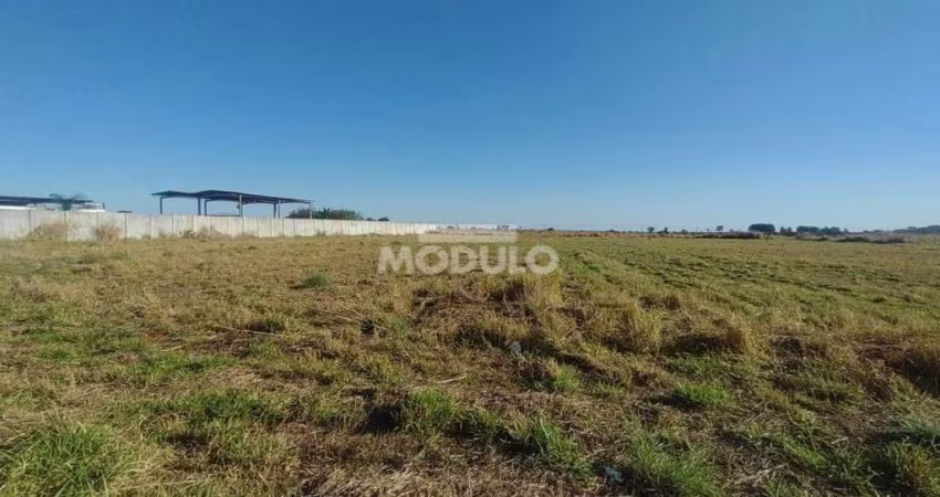 Área Comercial/Industrial para locação Bairro Centro empresarial Leste
