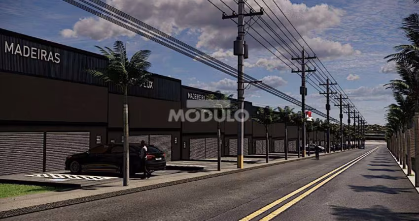 Galpão/Depósito/Barracão à venda, 2 vagas, Shopping Park - Uberlândia/MG