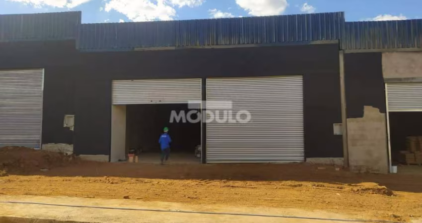 Galpão/Depósito/Barracão à venda, 2 vagas, Shopping Park - Uberlândia/MG