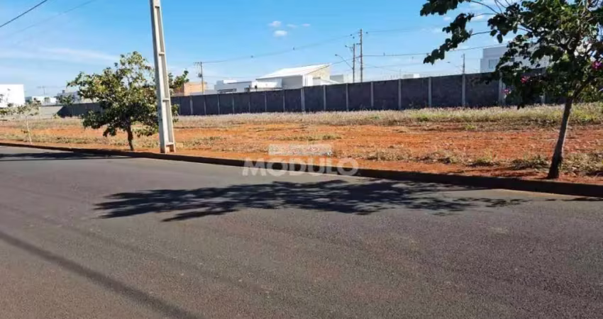Terreno à venda na Avenida Palmeira Real, --, Novo Mundo, Uberlândia