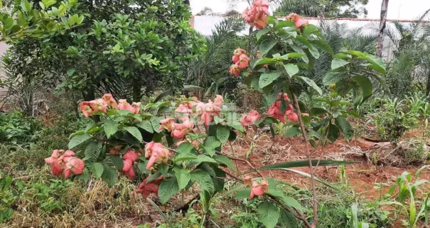 Chácara / sítio à venda na Rua Maura Carvalho, --, Morada Nova, Uberlândia