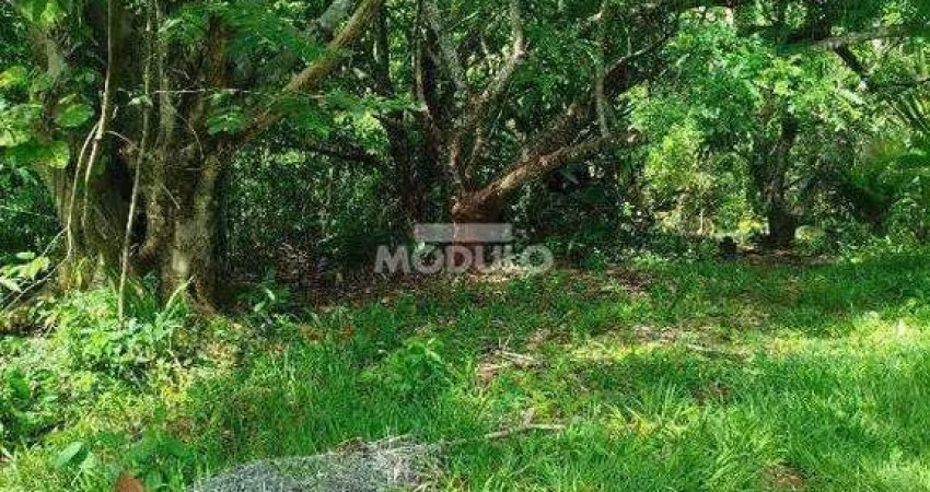 CHÁCARA à venda, Shopping Park - Uberlândia/MG