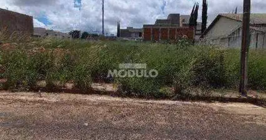 Terreno à venda na Rua Tapuios, --, Saraiva, Uberlândia